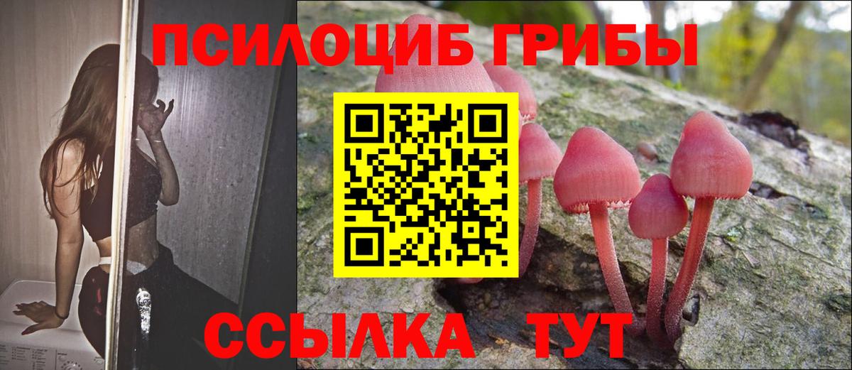 Йошкар-Ола  Псилоцибиновые грибы мицелий  Вход с VPN 