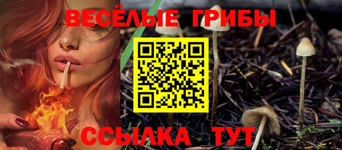 Кокаин  Меф МЯУ МЯУ   ГАШИШ  Йошкар-Ола  Сколько стоит  Вход с VPN 